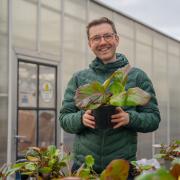 Scott Galloway with his Bergenia collection