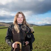 Chloe Cormack freelance shepherd