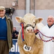 Scotland mourns the loss of Major David Walter, an esteemed cattle breeder.