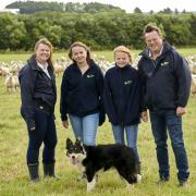 Vicky, Amy, Robyn and Bruce Irvine are looking to improve the health of their lamb crop at Saughentree, New Aberdour