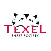 The Texel Sheep Society introduces genomic evaluations to aid breeders' genetic gain