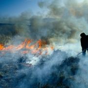 The practice of muirburn will now be restricted