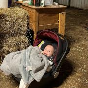 Little Phoebe embraces farm life at four months