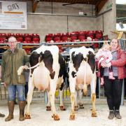 Pictured from left, judge, Will Oldfield, champion Robin Jennings, Rachel Nelson and 18-month-old daughter, Lily, representing the Goldies and their reserve champion, and Helen Whittaker