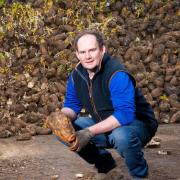 Anderson Waddell has seen improvements in his cattle since he introduced fodder beet to the ration