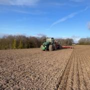 Sowing is well behind in England