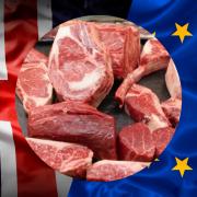 Red meat exports to Europe and further afield are bolstering ex-farm prices