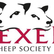 The Texel Sheep Society's plans to celebrate its 50th anniversary