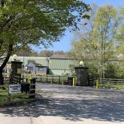 Animal feed firm Ian Mosey\'s base at Blackdale Mill, near Gilling East