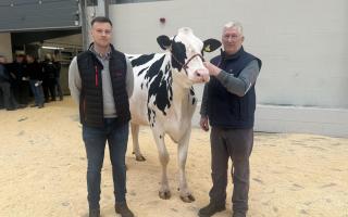 Graham Kirby's reserve champion, Richaven Chief Adeen topped the sale at 4900gns, pictured with the judge Neil Sloan