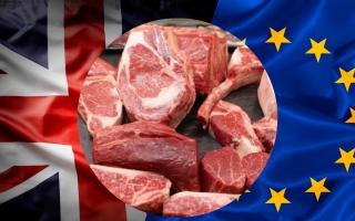 Red meat exports to Europe and further afield are bolstering ex-farm prices