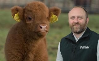 Cattle inspections shouldnt happen during calving