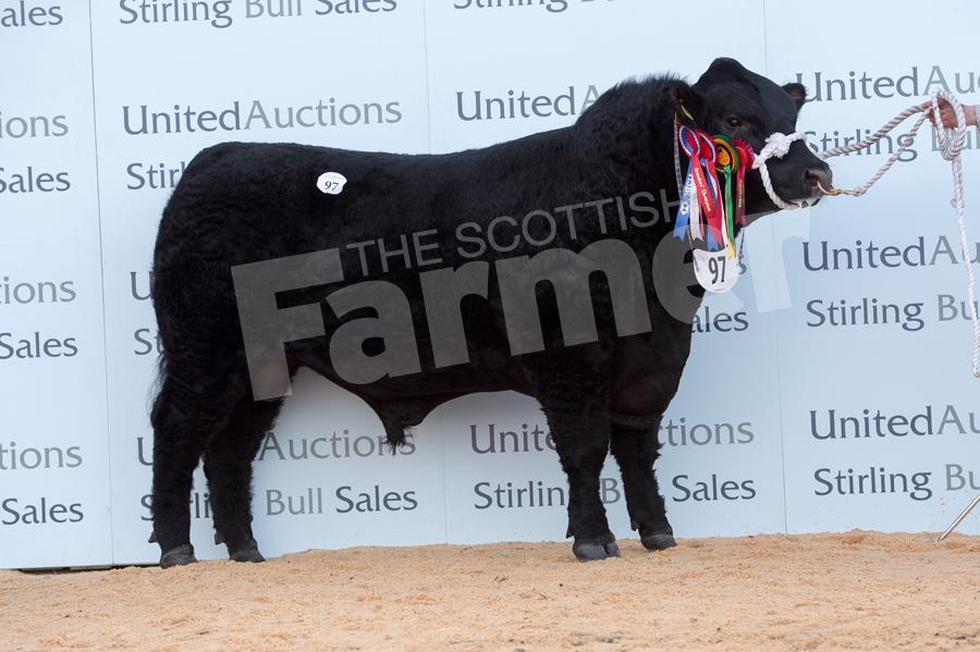 Overall champion was the intermediate champion  Cheeklaw Jake Eric from DG Lucas sold for 10,000gns Ref: RH5217275