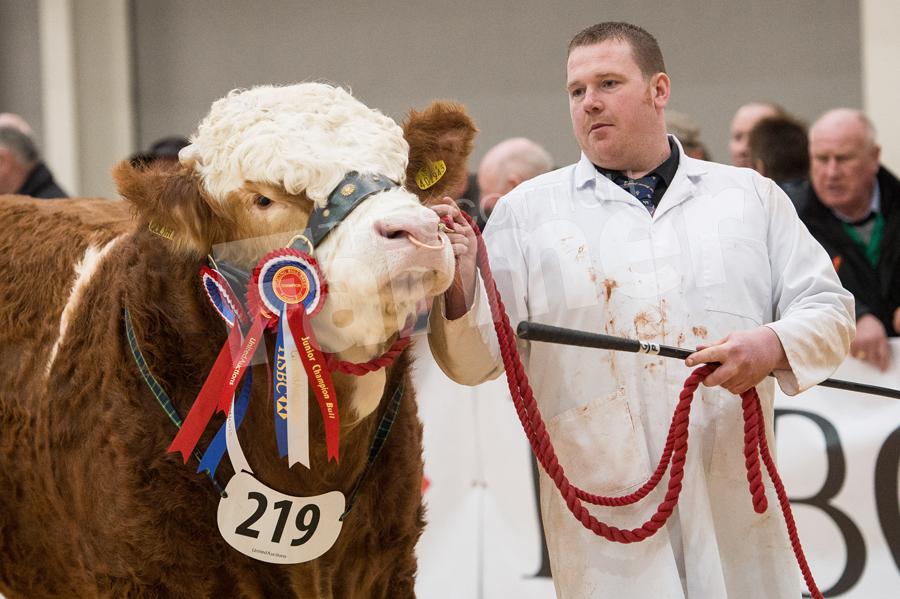 Garry Patterson and junior champion Aultmore Goliath. Ref: RH19217842