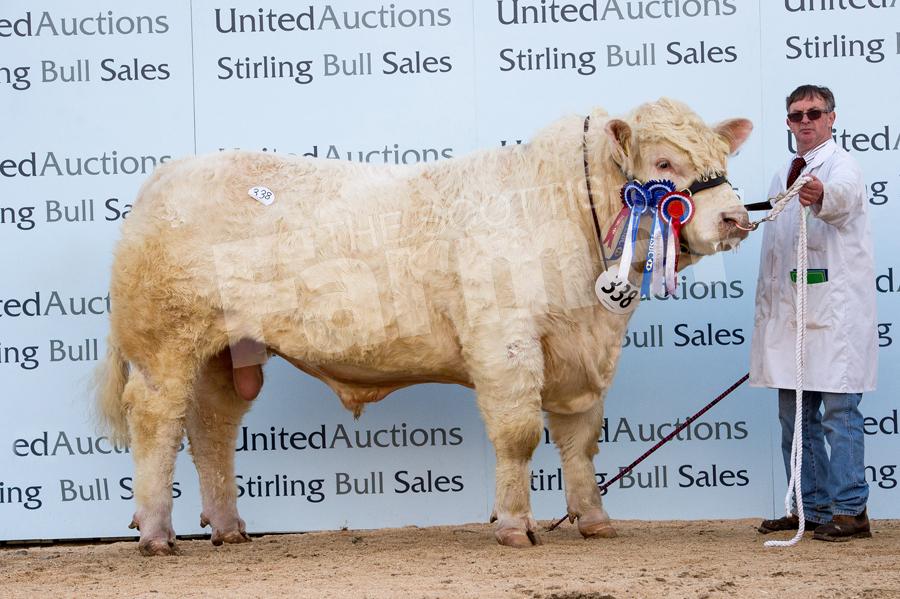 Gretnahouse Lord from A Houston stood reserve overall champion and sold for 25,000gns. Ref: RH20217883