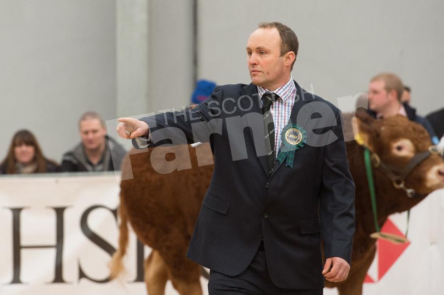 Jonathan Watson judging the Limousin at Stirling. Ref: RH6217310