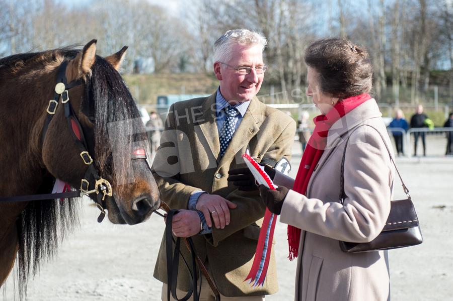 Overall horse champion Glenbanchor Gillebrighde and John Reid meeting HRH Princess Anne. Ref: RH13171042