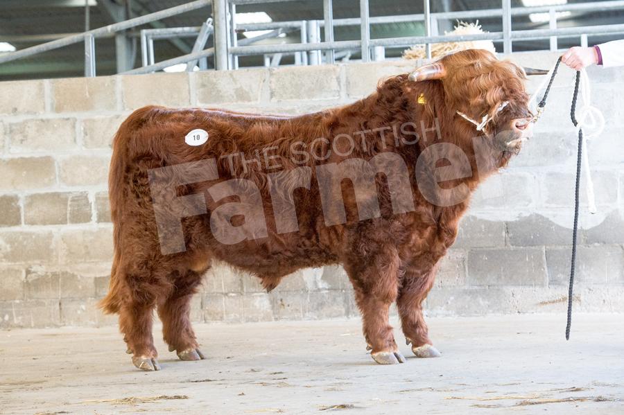 Bratach 1st of Benmore from Emma Paterson, sold for 4800gns. Ref: RH13217572
