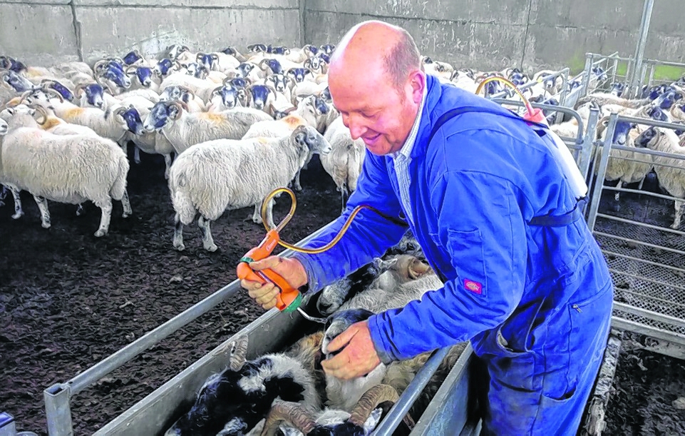 Vets' issue wormer warning - The Scottish Farmer