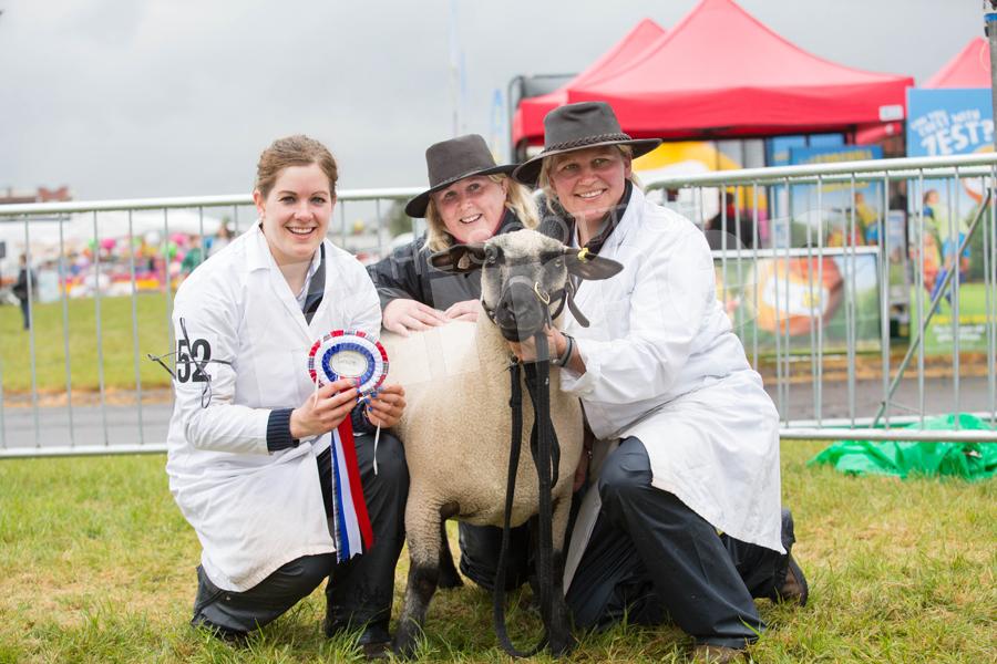 Louise Forrest, Lorna Vevers and Laura White, exhibiting for the first time from the small Triple L ewe flock went champion Hampshire Down their gimmer by Cloughearnie Hogan. Ref: EC135171289.