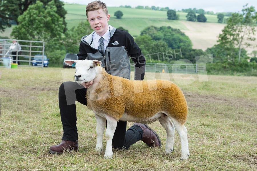 Texel champion was the ewe lamb from Cameron Simpson. Ref: RH17617341