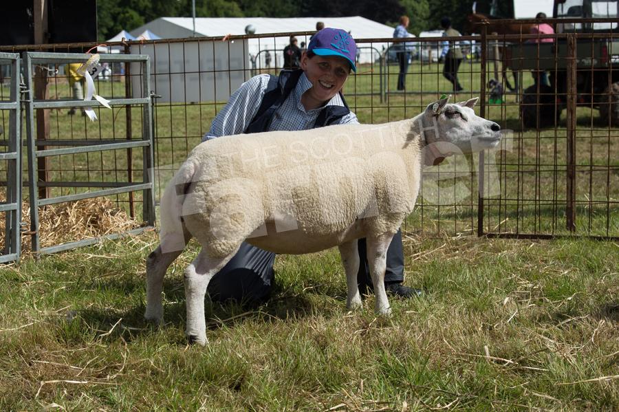 Champion Betex was the  gimmer from G and F Burke. Ref: RH1717050