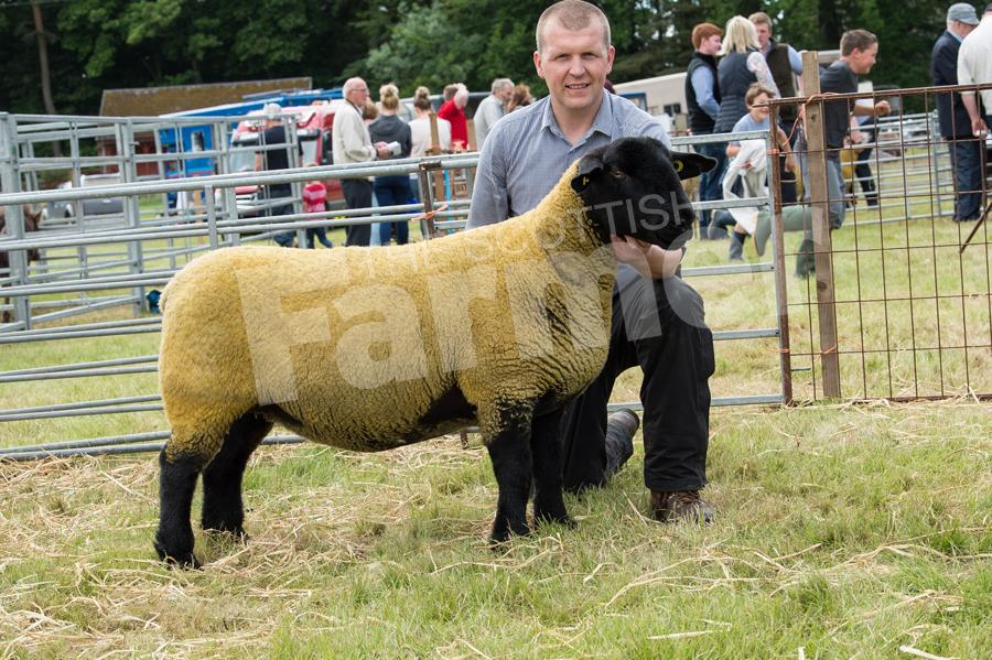 Suffolk champion was the gimmer from  J A Lorimer  Ref: RH1717067