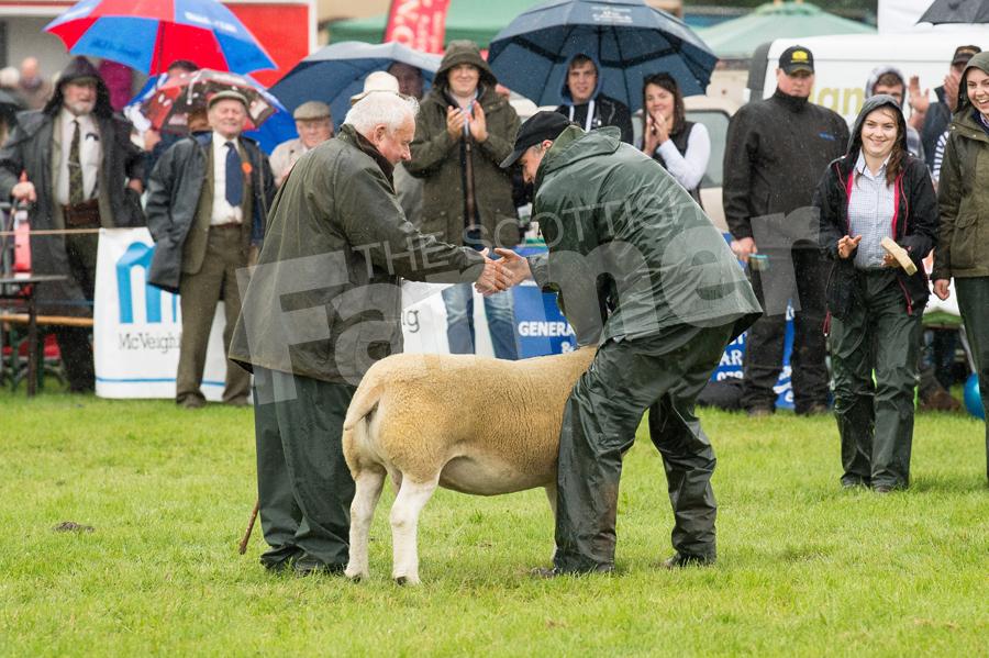Sir John Campbell picked out Robert Lairds Texel to be Biggar show champion of champions. Ref: RH22717493