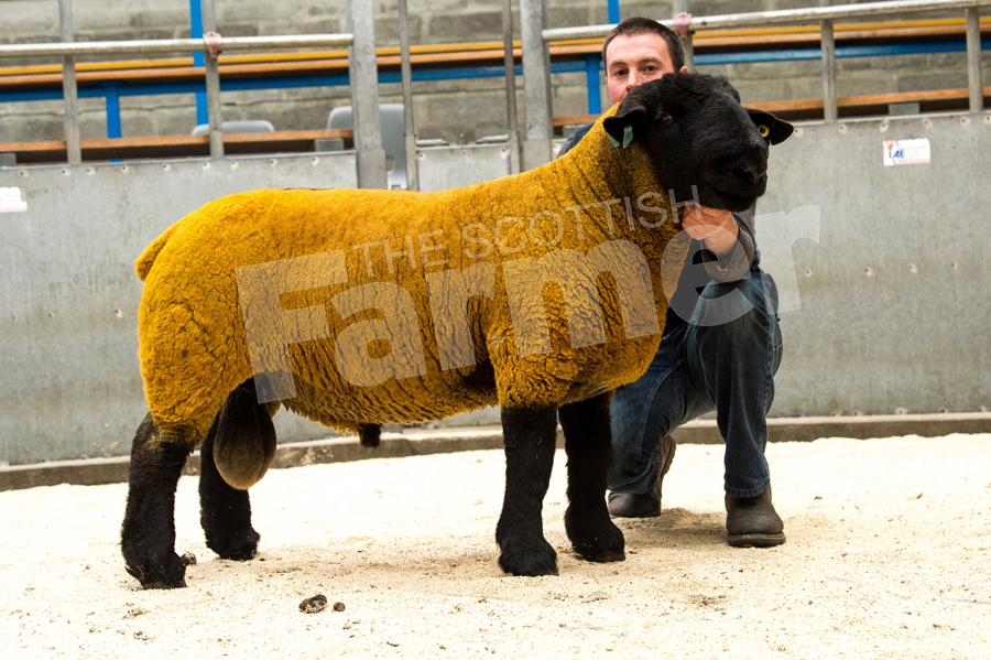 Barnetsons sold this Suffolk shearling for £1200. Ref: RH1509171010