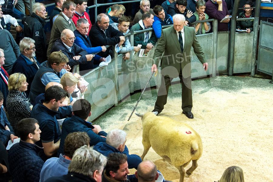 Ringside was packed for the dispersal sale of Charollais sheep from the Kennedy's Parkgate flock at Carlisle. Ref: RH1310170152.