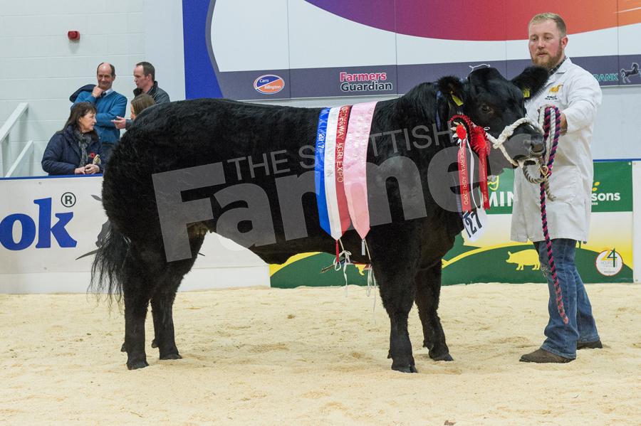 Bexy Boo stood heifer champion then went on to will overall champion for R and L Workman. Ref: RH0311170076.