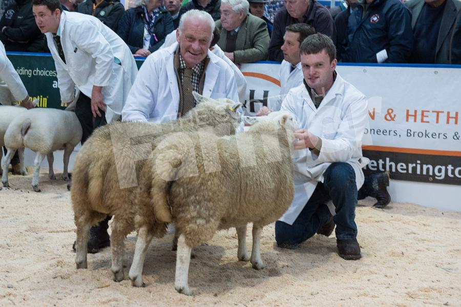 Out of a hill ewe champion from TN Cavers and Co. Ref: RH0311170050.