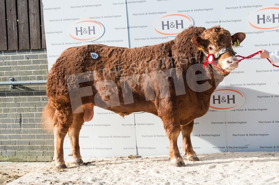 The Goldies sold Goldies Muskateer for 10,000gns. Ref: RH170218097.