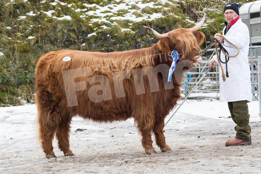 Sir Willaim Lithgow sold Gruagach 51st of Ormsary for 3000gns. Ref: RH120218074.