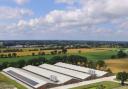 Forest Farm Poultry's eco-sheds, which span 105,000 sq. ft. and house more than 215,000 chickens, will now be completely powered by the solar panels
