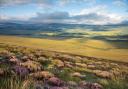 The sale of 11,390 acres of Langholm Moor has been completed