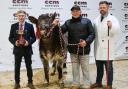 Overall champion pictured with the judge, James Rea (left); Roger and Boomer Birch