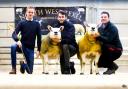 Championship presentation pictured with the judge Harry Griffies, the champion from the Campbell's Cowal flock and the reserve from Gordon and David Gray, Ettrick