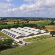 Forest Farm Poultry's eco-sheds, which span 105,000 sq. ft. and house more than 215,000 chickens, will now be completely powered by the solar panels