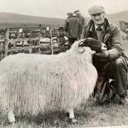 Bertie Cuthbertson with his prize winning Blackface ewe at the local Glenkens Show in 1980. Craigenbay won 12 trophies that day, with the ewe behind half of them