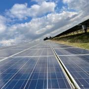 Utilising solar farms can help increase biodiversity on your farm, according to the latest research