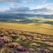 The sale of 11,390 acres of Langholm Moor has been completed