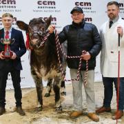 Overall champion pictured with the judge, James Rea (left); Roger and Boomer Birch