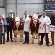 Champion and reserve heifers from Shane and Paul McDonald, Coolcran and Richard McCulloch, Over Hillhouse, sold for 26,000gns and 18,000gns respectively