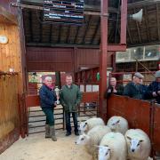 Pictured is Lorna McGowan, Craiglea with champion Beltex lambs, alongside judge D Nicholson of Nicholson's Butchers, Whitley Bay.