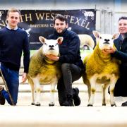 Championship presentation pictured with the judge Harry Griffies, the champion from the Campbell's Cowal flock and the reserve from Gordon and David Gray, Ettrick