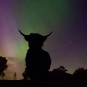 Ethereal Northern Lights illuminate Capielaw Highland Fold