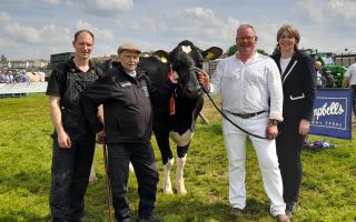 Inter-breed dairy champion, Clydeview Sidekick Matilda pictured with handler Scott McGill, Salvy Esquierdo and Robbie and Margot Scott