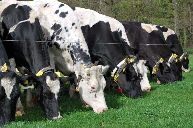 Nominations for Agriscot's dairy farm of the year are now open until June 10