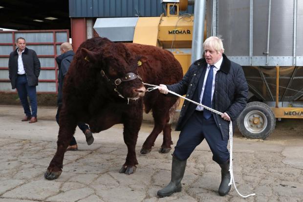 "Johnson, who loves to be loved, will not want to risk being seen as the politician who sold out farming, but that is exactly what he is planning to do" : Richard Wright